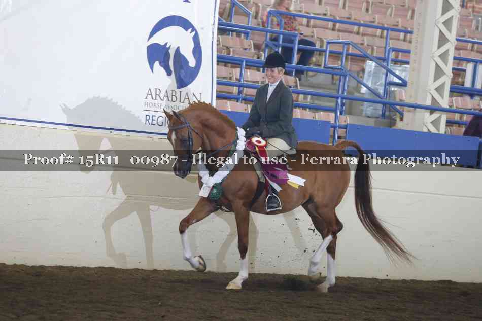 Proof 15R11_00987