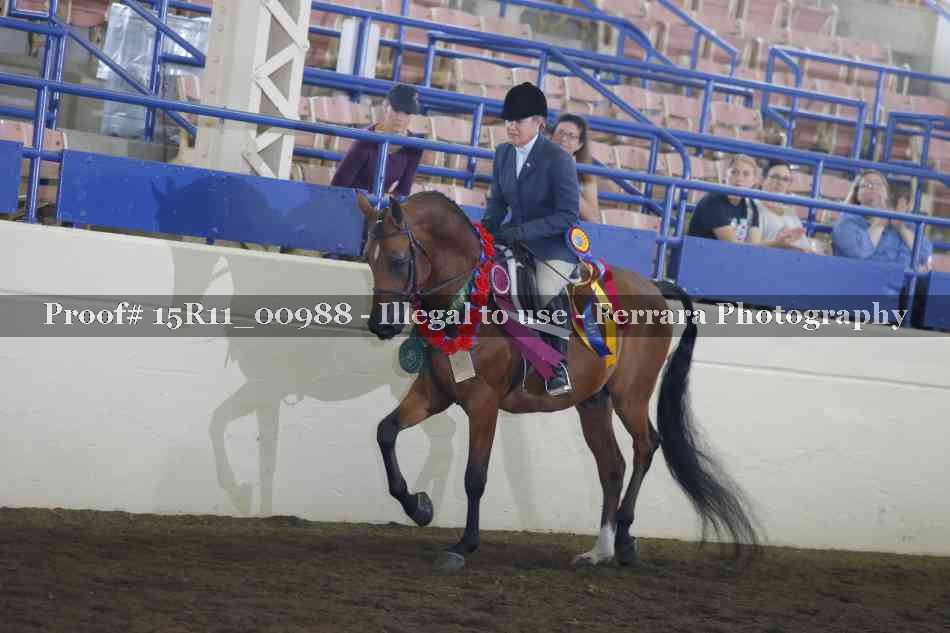 Proof 15R11_00988