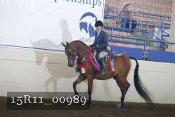 15R11_00989 proof