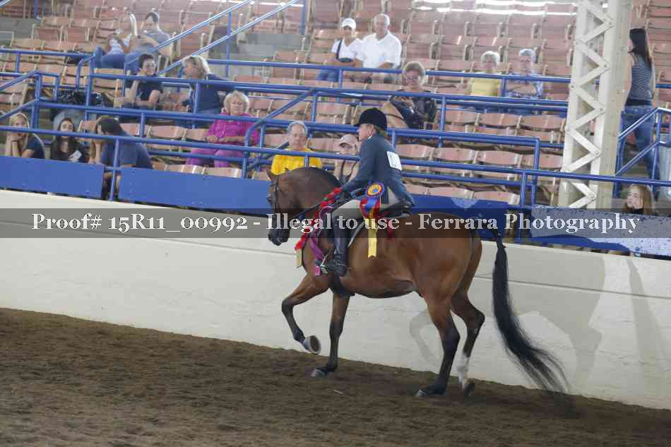 Proof 15R11_00992