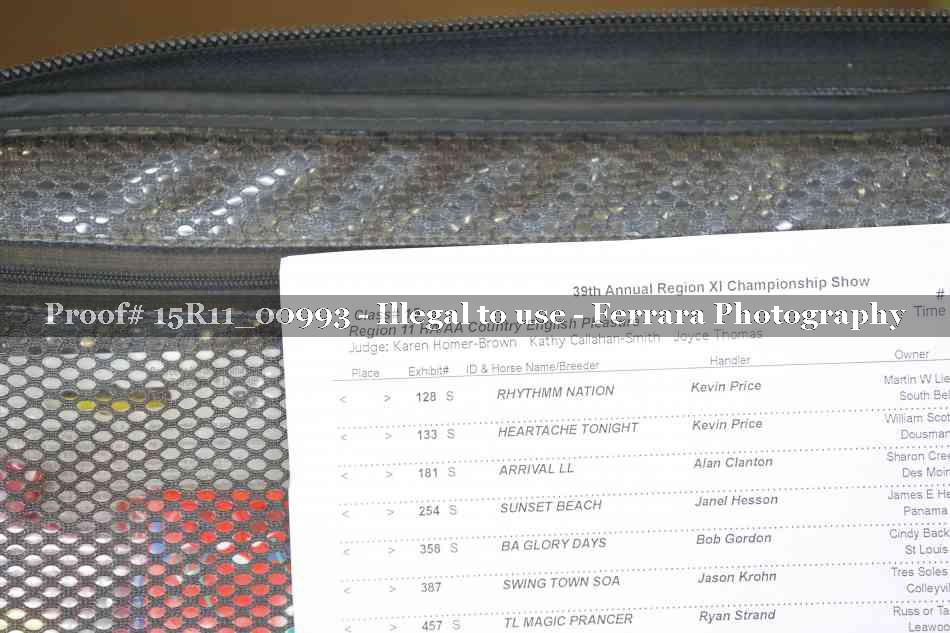 Proof 15R11_00993
