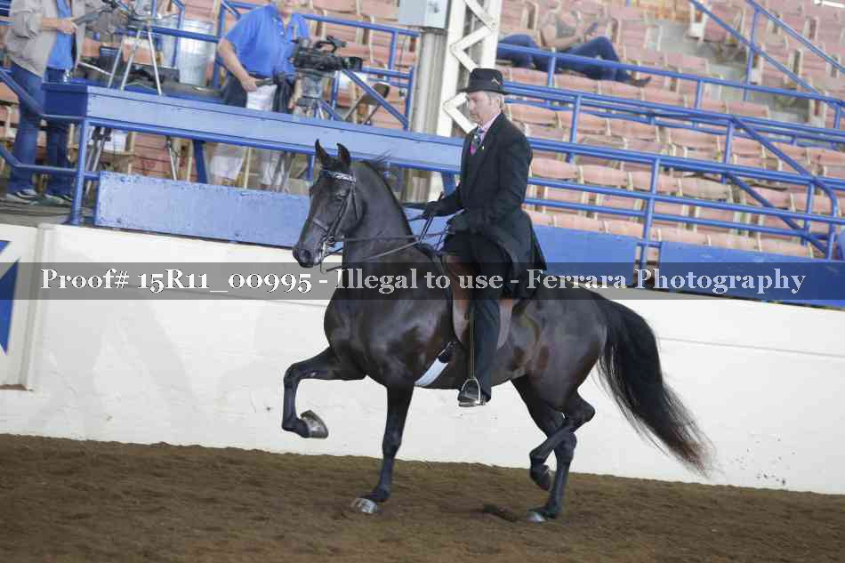 Proof 15R11_00995