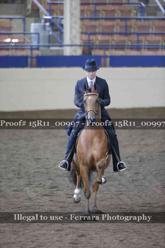 Proof 15R11_00997