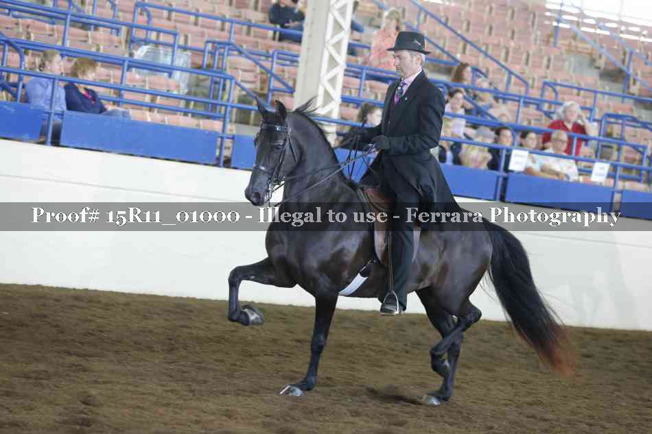Proof 15R11_01000