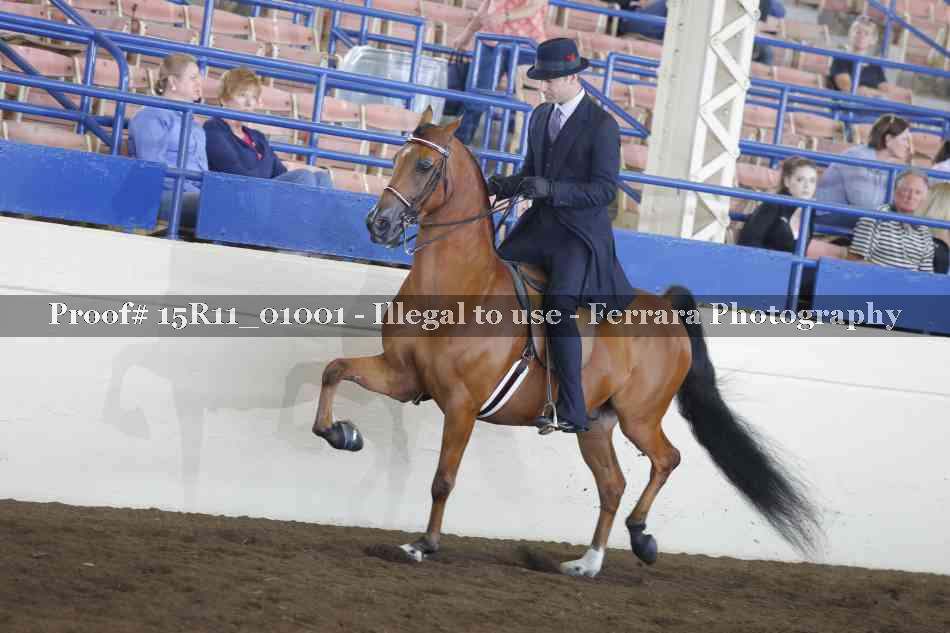 Proof 15R11_01001