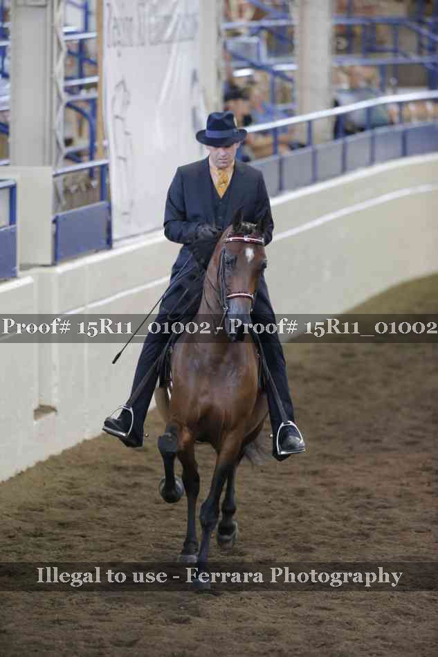 Proof 15R11_01002