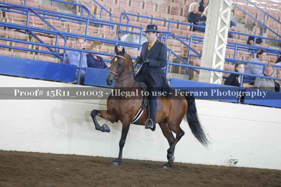 Proof 15R11_01003