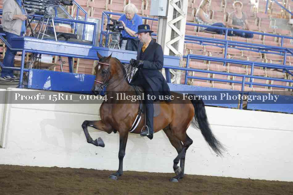 Proof 15R11_01004