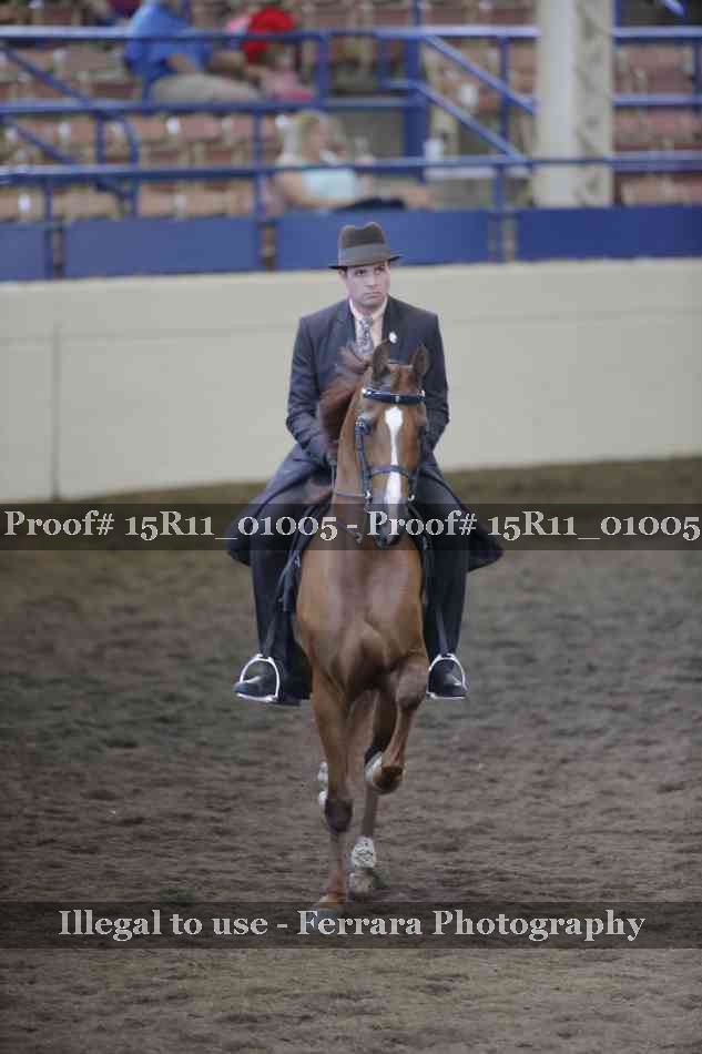 Proof 15R11_01005