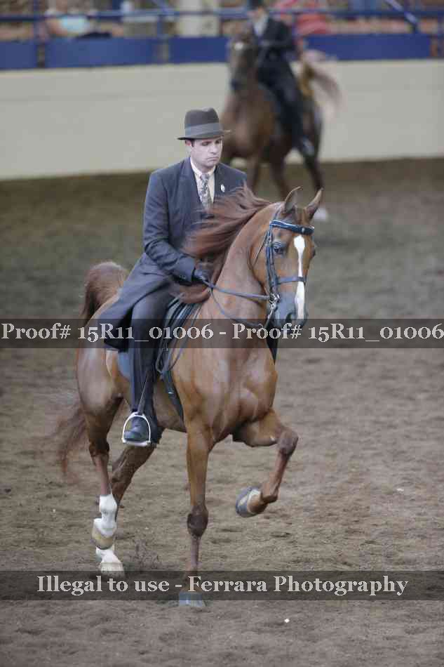 Proof 15R11_01006