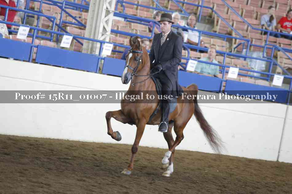 Proof 15R11_01007