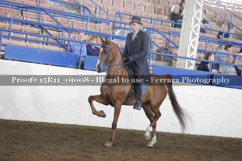 Proof 15R11_01008