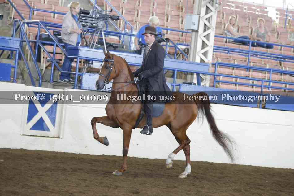 Proof 15R11_01009
