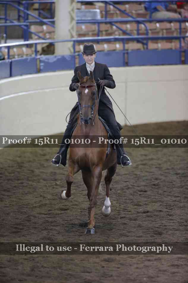 Proof 15R11_01010