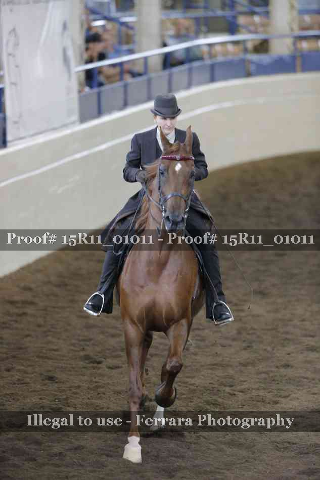 Proof 15R11_01011