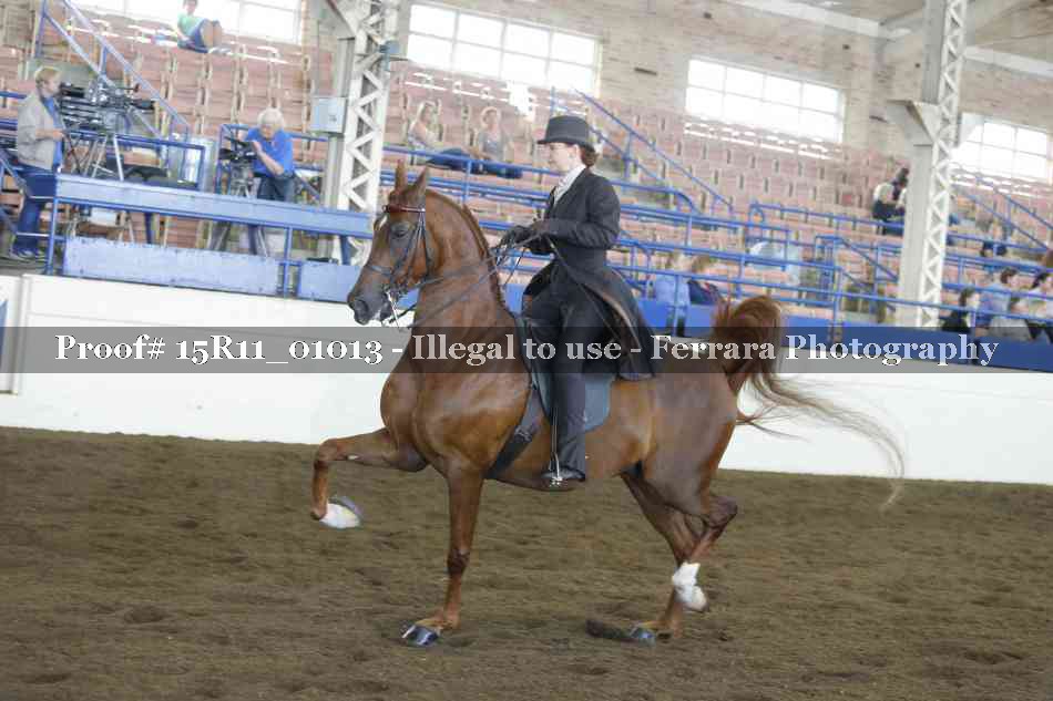 Proof 15R11_01013