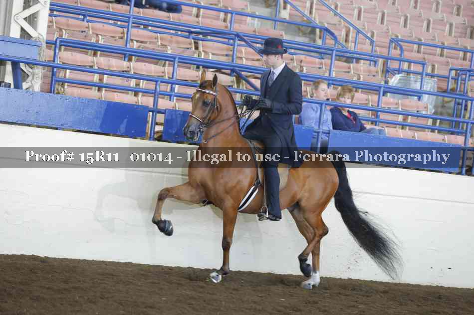 Proof 15R11_01014