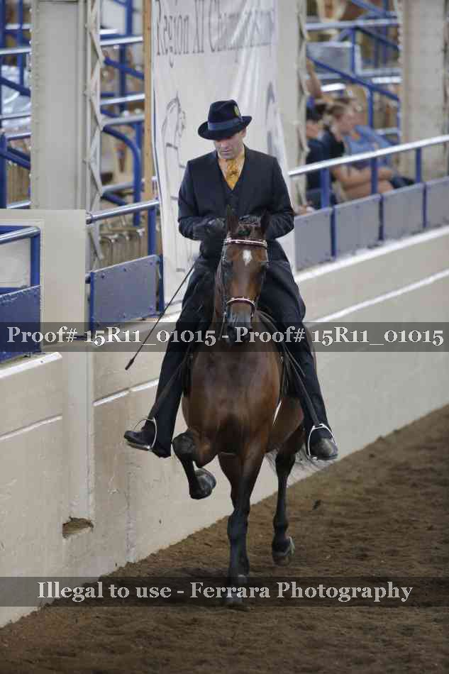 Proof 15R11_01015