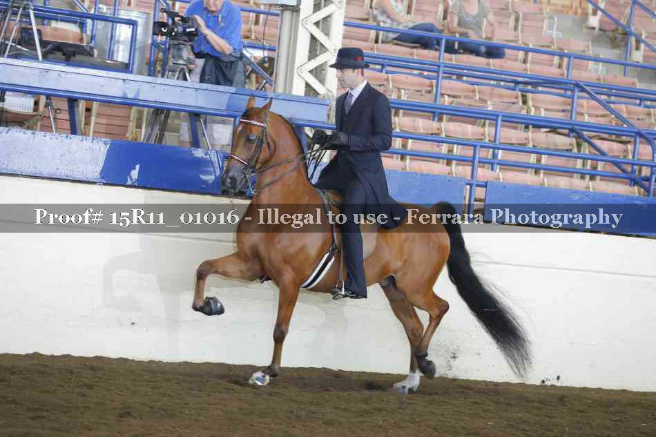 Proof 15R11_01016