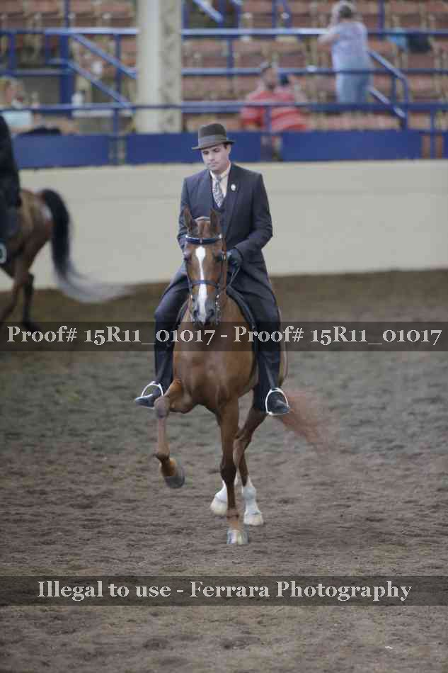 Proof 15R11_01017