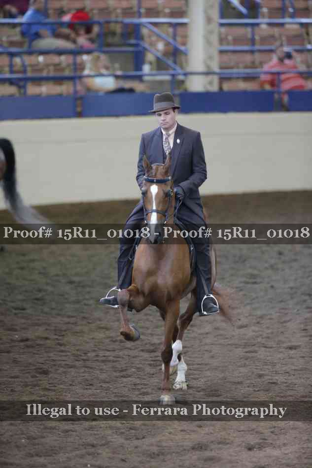 Proof 15R11_01018