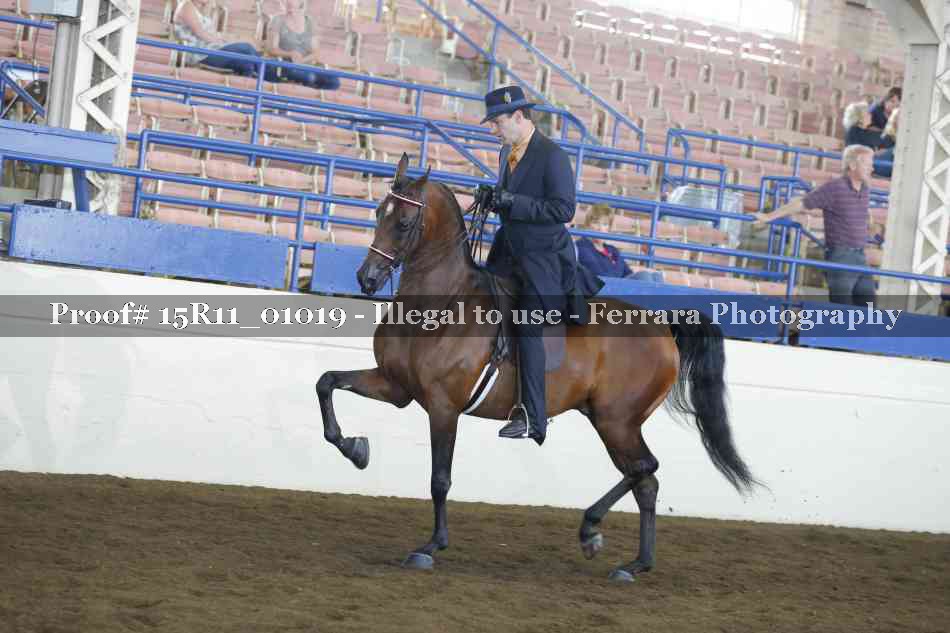 Proof 15R11_01019