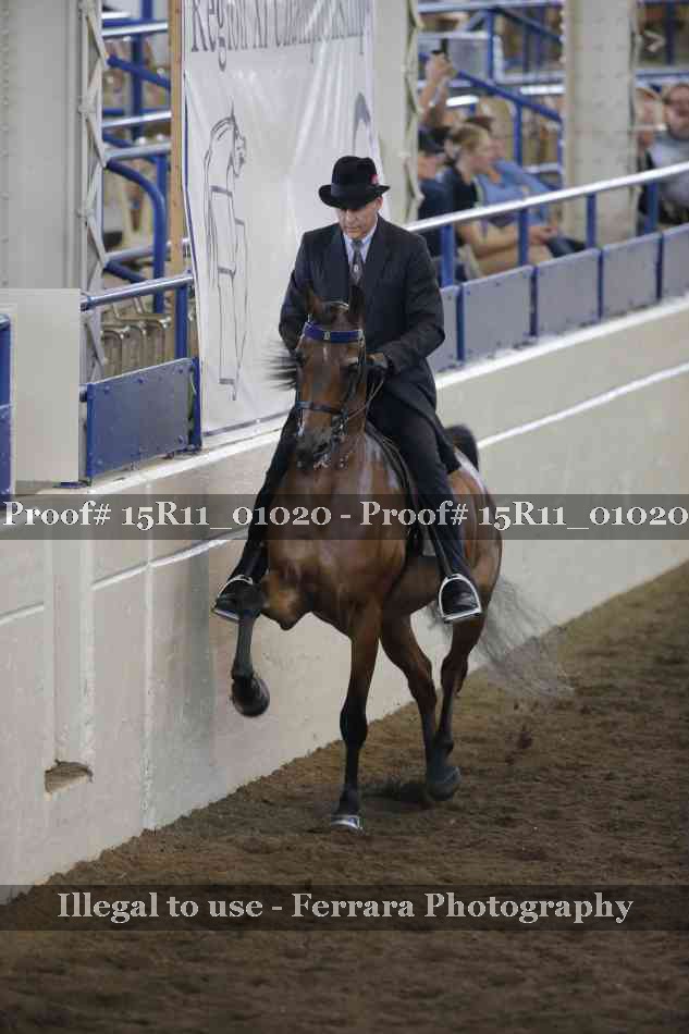 Proof 15R11_01020