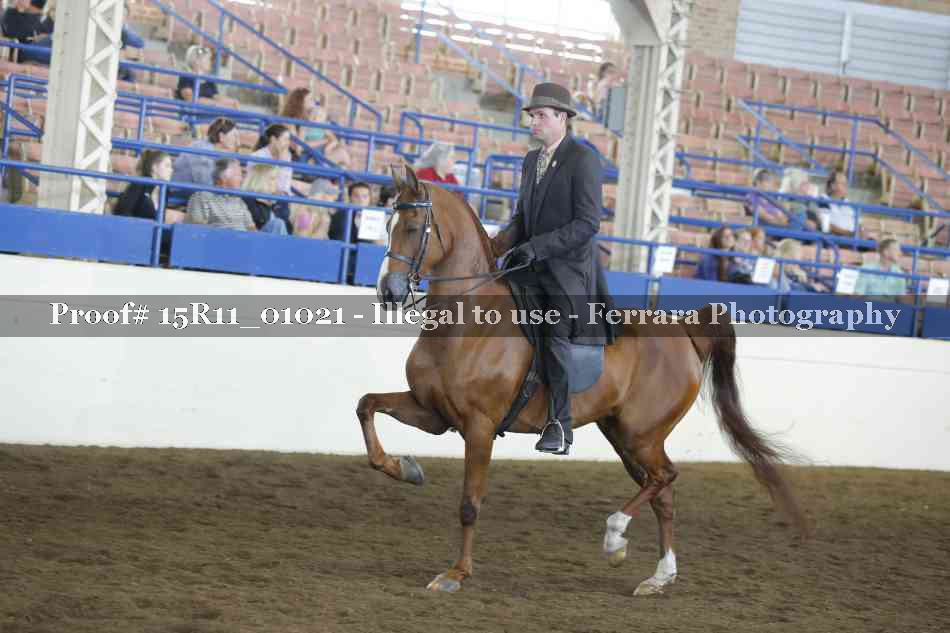 Proof 15R11_01021