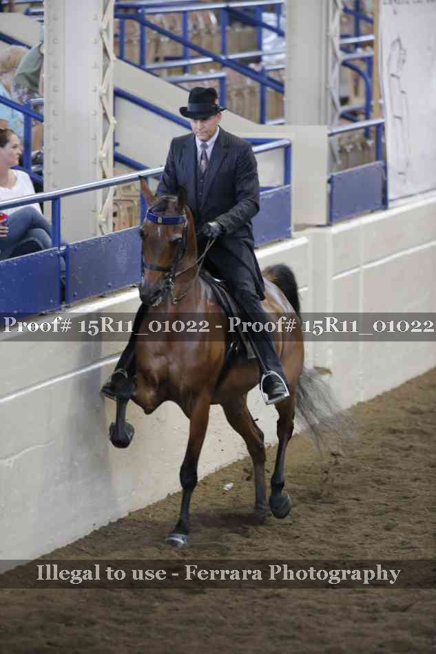 Proof 15R11_01022