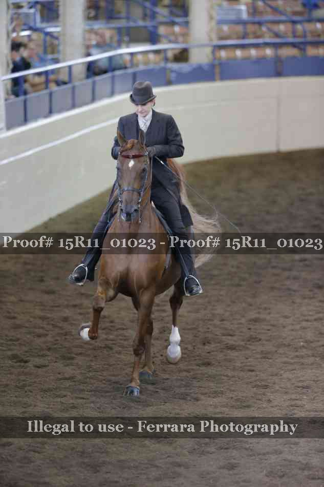 Proof 15R11_01023