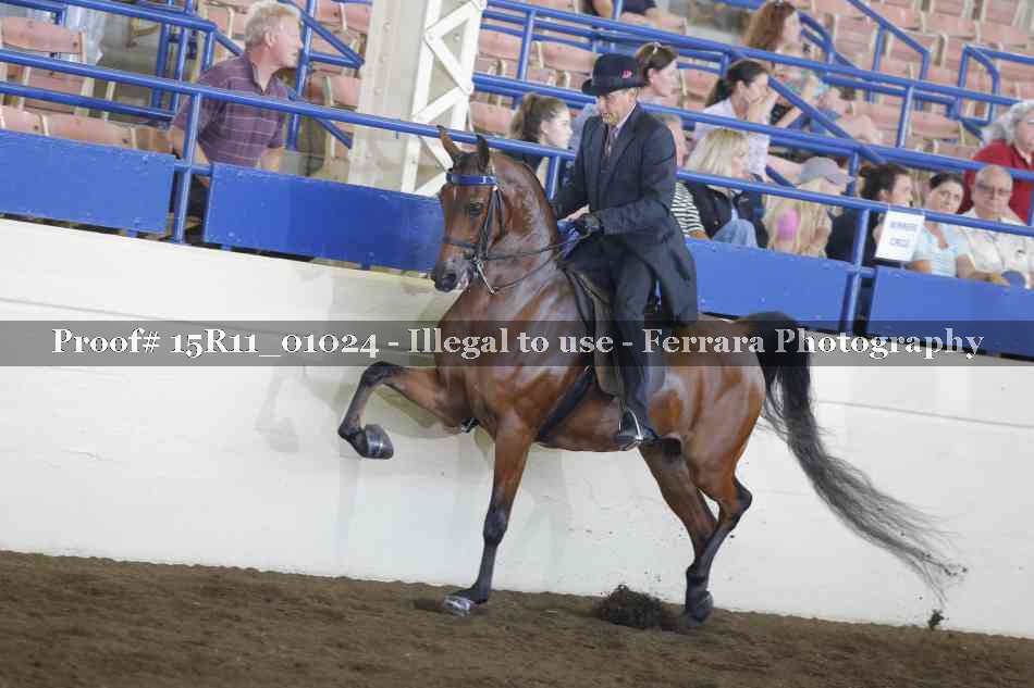 Proof 15R11_01024