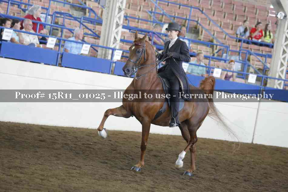 Proof 15R11_01025