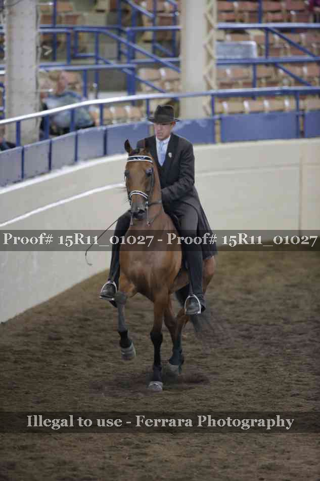 Proof 15R11_01027