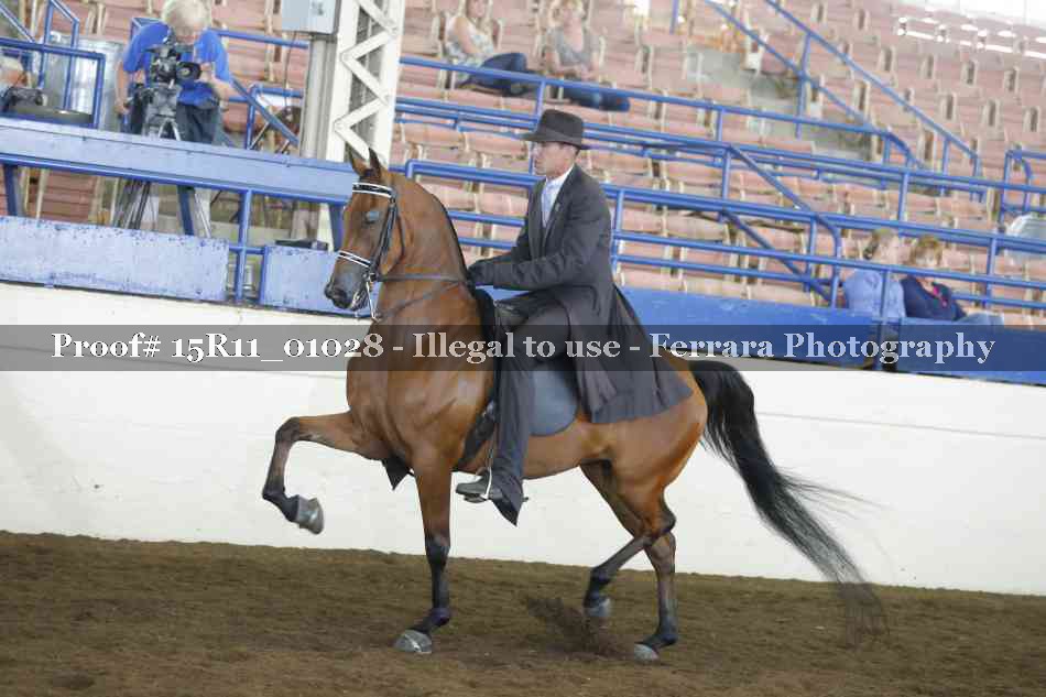 Proof 15R11_01028