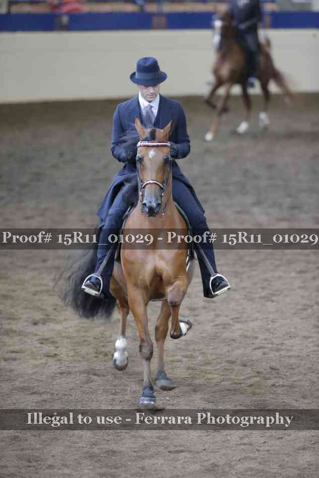 Proof 15R11_01029