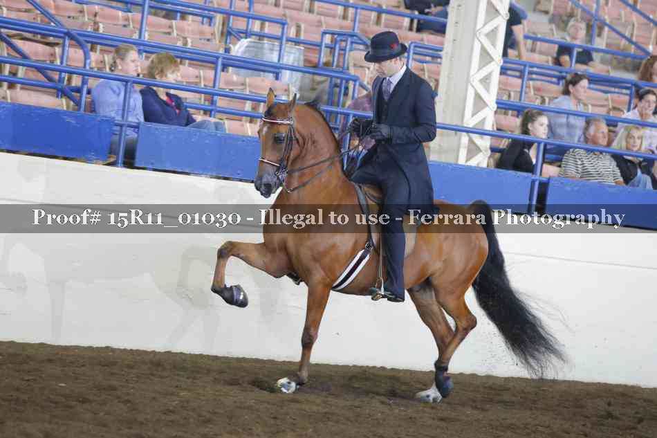 Proof 15R11_01030