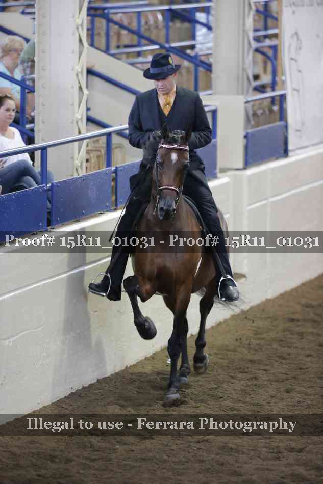 Proof 15R11_01031