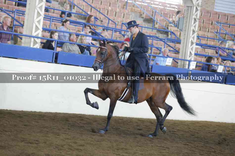 Proof 15R11_01032