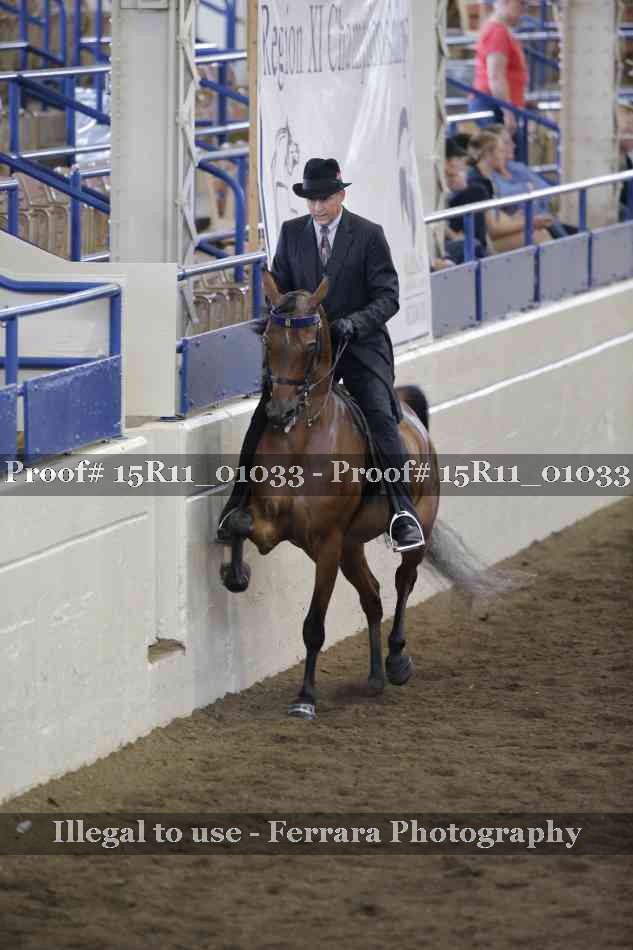 Proof 15R11_01033