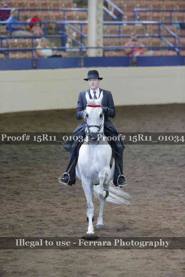 Proof 15R11_01034