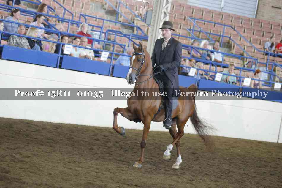 Proof 15R11_01035