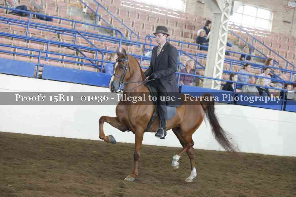 Proof 15R11_01036