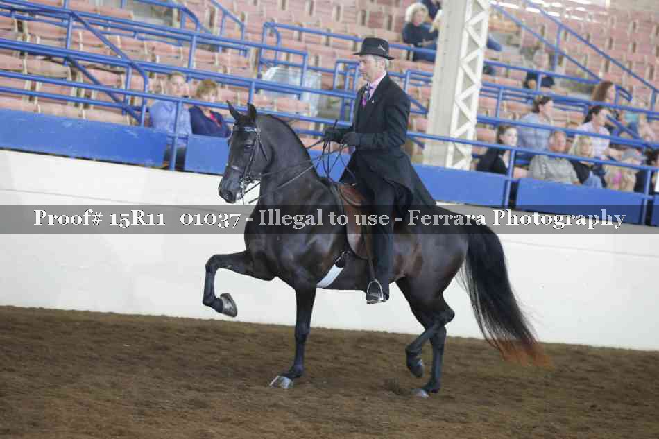 Proof 15R11_01037