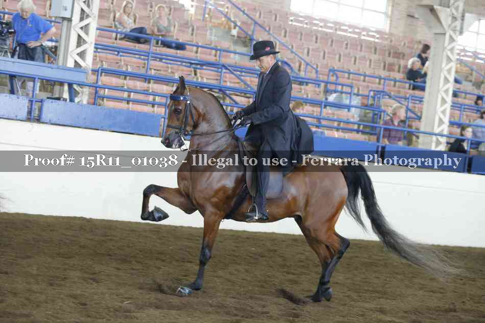 Proof 15R11_01038