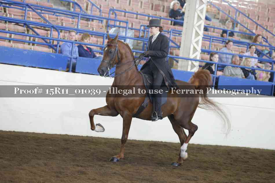 Proof 15R11_01039