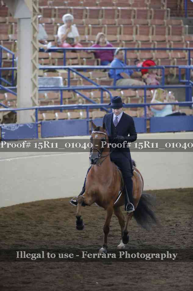 Proof 15R11_01040
