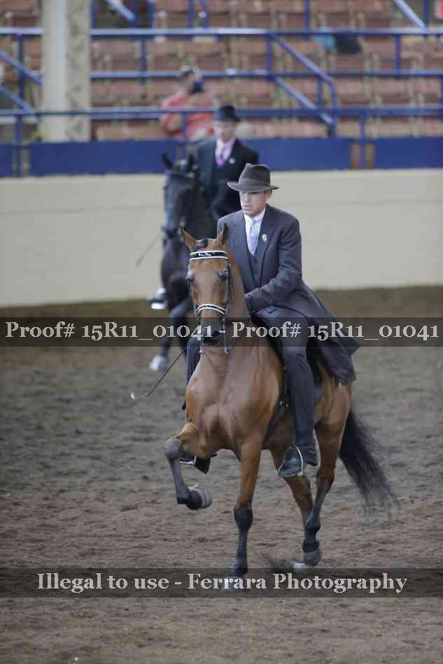 Proof 15R11_01041