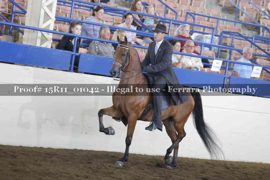 Proof 15R11_01042