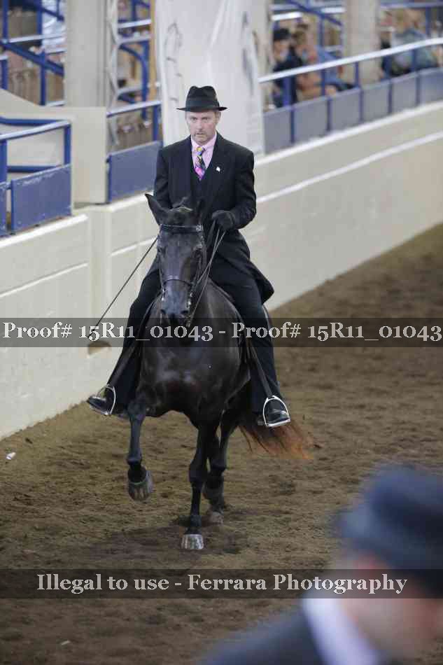Proof 15R11_01043