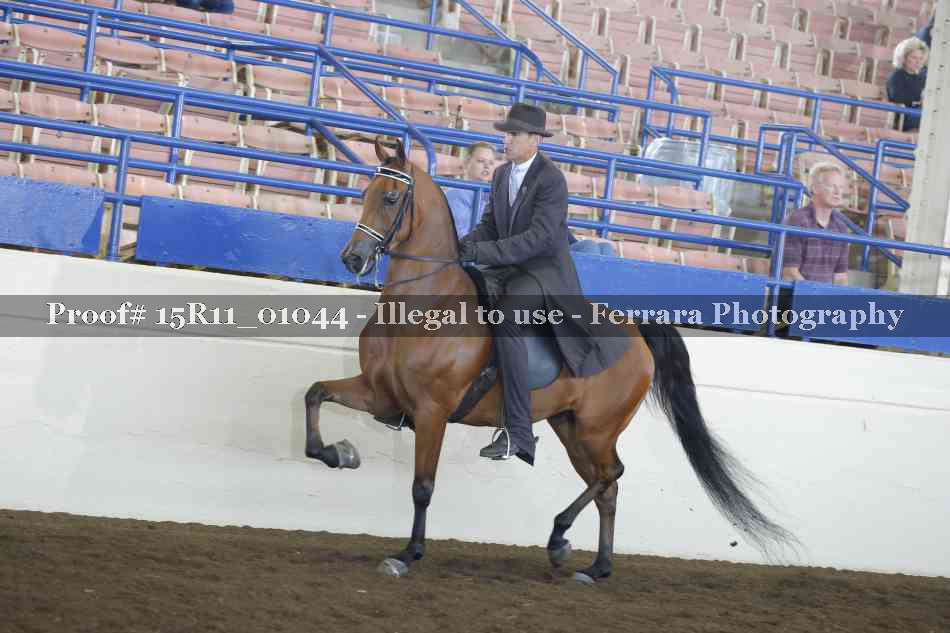 Proof 15R11_01044